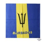 Variantes de bandanas pour homme, collection