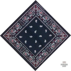 Bandana Bleu Paisley pour homme