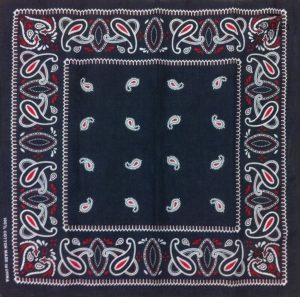 bandana bleu paisley 2