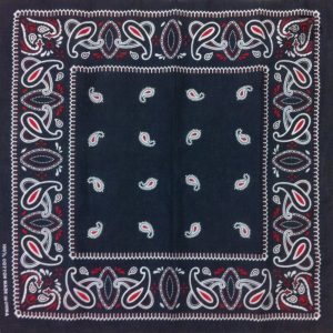 bandana bleu paisley 2