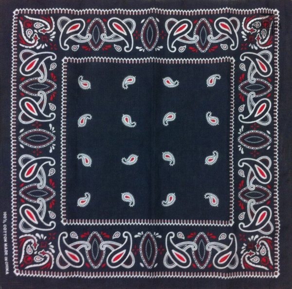 bandana bleu paisley 2