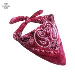 bandana brasier 2