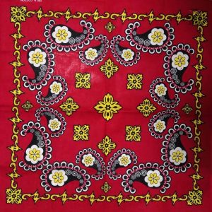 bandana cachemire ancestral 2