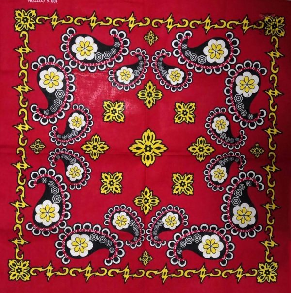 bandana cachemire ancestral 2