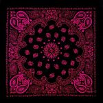 bandana celeste fushia 2