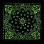 bandana celeste vert 2