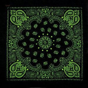 bandana celeste vert 2