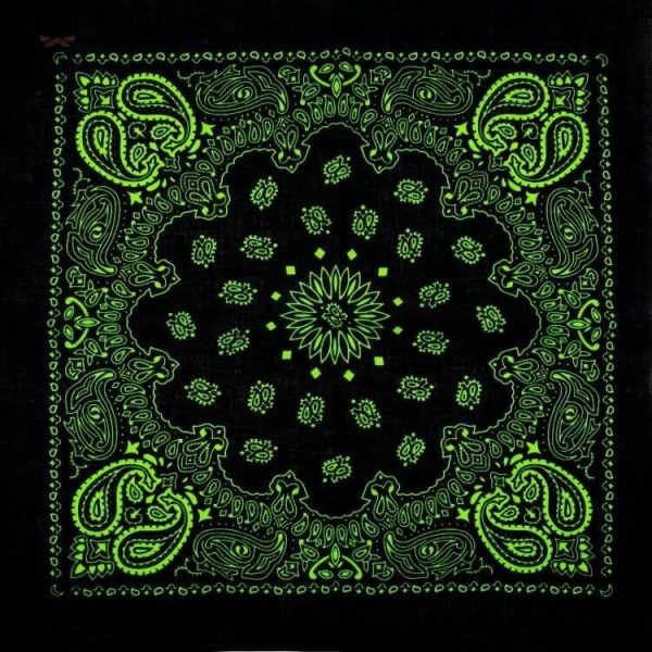 bandana celeste vert 2