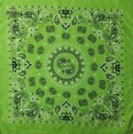 bandana cercle paisley 2