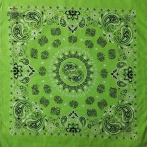 bandana cercle paisley 2