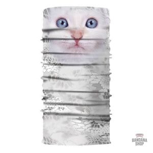 Bandana élastique pour chaton