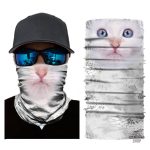 Bandana chaton coloré - Style