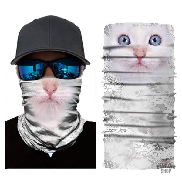 Bandana chaton coloré - Style