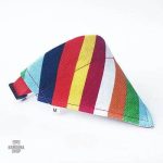 Bandana Chien Arc-en-Ciel de