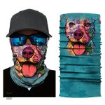 Bandana, style multicolore pour animaux