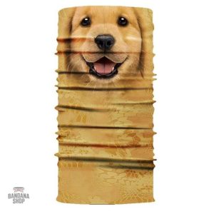 Bandana élastique pour chiot -