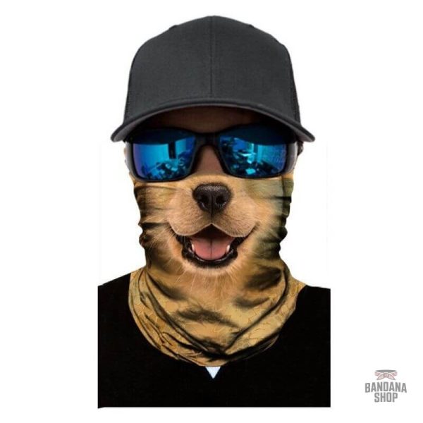 Accessoire coloré pour chien, bandana élastique