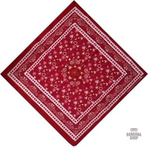 Bandana Coeur Paisley pour homme -