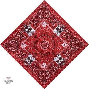 Bandana Crâne Paisley pour homme