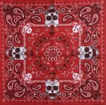 bandana crane paisley 2