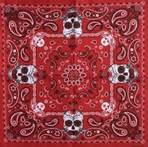 bandana crane paisley 2