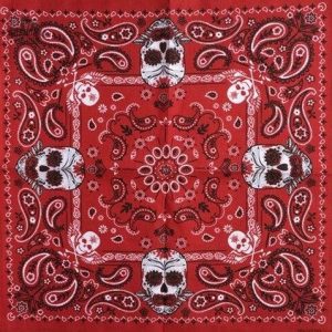 bandana crane paisley 2