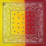 Variations colorées du bandana été pour hommes