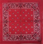 bandana motif cachemire rouge 2