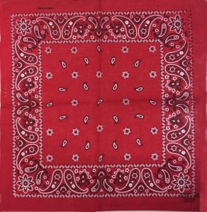 bandana motif cachemire rouge 2