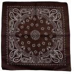 bandana orion 2