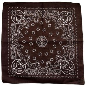 bandana orion 2