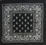 bandana paisley 2