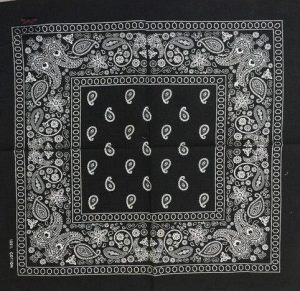 bandana paisley 2