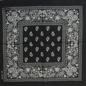 bandana paisley 2