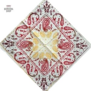 Bandana Paisley Indien pour homme -