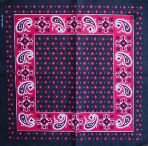 bandana rose paisley 2