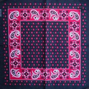 bandana rose paisley 2
