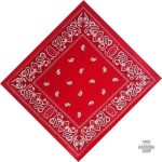 Bandana Rouge Paisley pour homme de