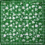 Accessoire tendance Saint Patrick - Bandana pour homme