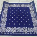 Accessoire tendance : Bandana Sonic
