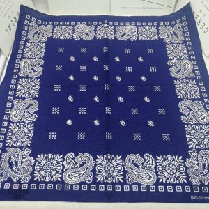 Accessoire tendance : Bandana Sonic