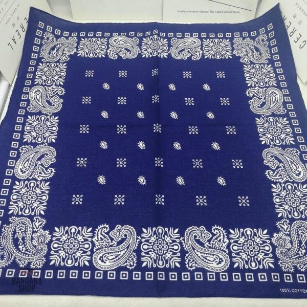 Accessoire tendance : Bandana Sonic