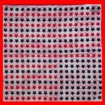 bandana star 2