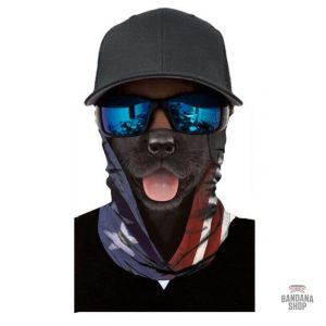 bandana tete de chien 2