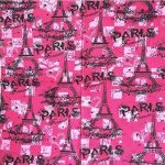 bandana tour eiffel 2