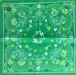 Accessoire homme Trèfle - Bandana
