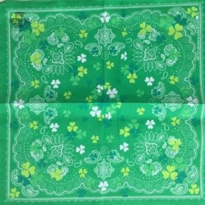 Accessoire homme Trèfle - Bandana