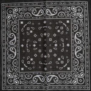 Variété de bandanas pour homme -