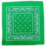 Styling masculin avec Bandana Vert de