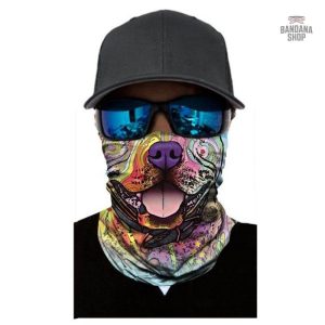 Accessoire tendance pour le visage de votre chien